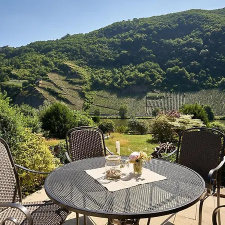 Apartment Moselle