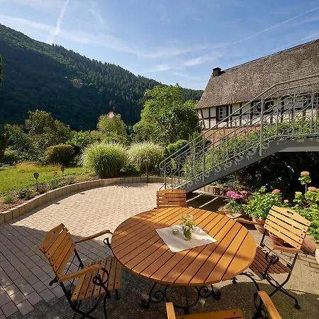 Apartament Moselle *